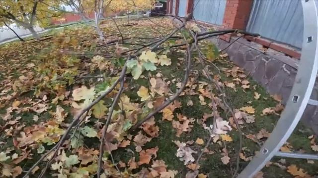 Аккумуляторный высоторез-кусторез Greenworks 2 в 1 смотреть онлайн