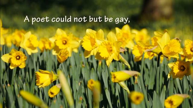 Daffodils смотреть онлайн