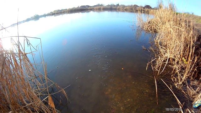 надо ехать на рыбалку) смотреть онлайн