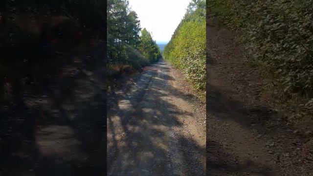 дороги БАМа, спуск, р-н Лопча. смотреть онлайн