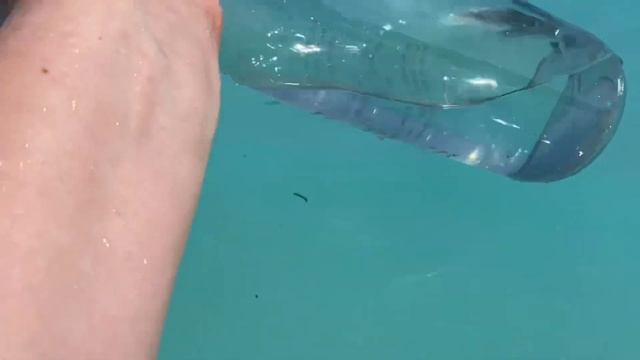 МАЛЬДИВЫ 2022 САМЫЙ БОЛЬШОЙ ОБЗОР РЕЗОРТА ADAARAN SELECT MEEDUPPARU & ADAARAN PRESTIGE WATER VILLAS смотреть онлайн