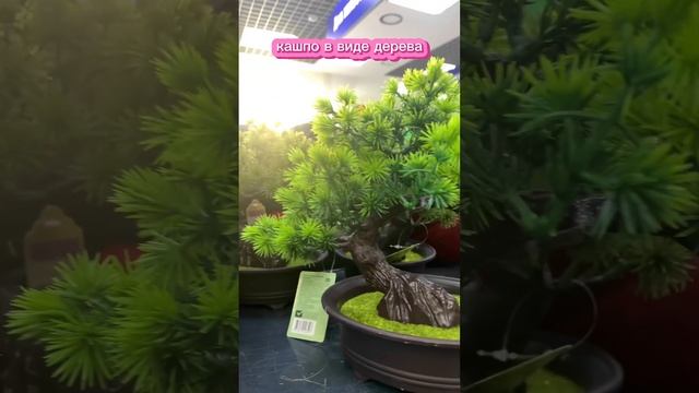 Находки FixPrice #wildberries #ozon #fixprice смотреть онлайн