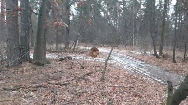 Зимний коп с Nokta makro simplex + (нокта макро симплекс плюс)