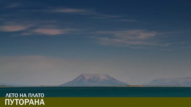 Лето на плато Путорана смотреть онлайн