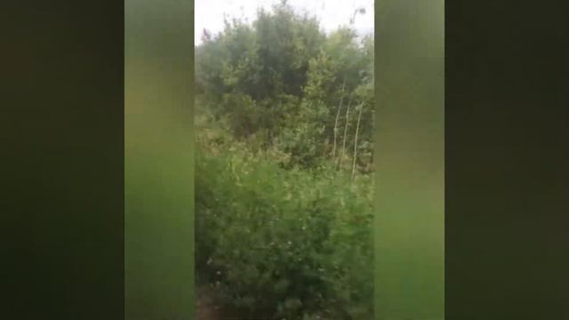 Уехали с дачи первое видео