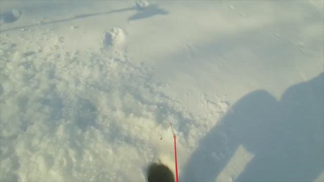 Утренняя рыбалка и новая хапуга смотреть онлайн