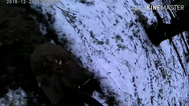 С поль метра достаю монеты. Настроил Nokta Makro ANFIBIO Multi