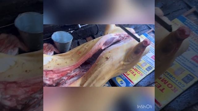 Забой свиноматки породы Ландрас номер2 смотреть онлайн