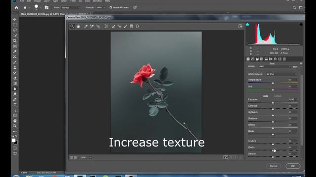 Red Blue Color Grading & Background Blur | Flower & Macro Photography | Photoshop Editing Tutorial смотреть онлайн