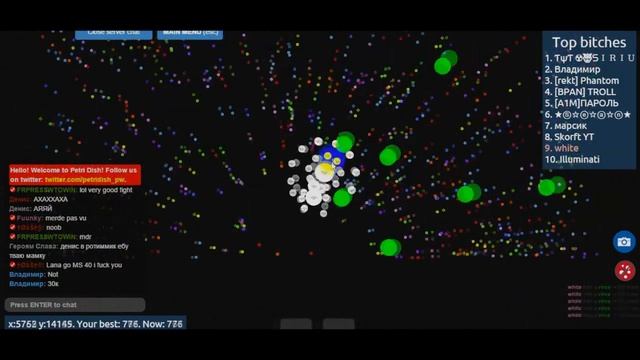 Петри диш крутая игра. 50000 масси смотреть онлайн