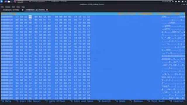 CTF Challenges ( Forensics Hex Signature Format ) - Arabic #7 смотреть онлайн