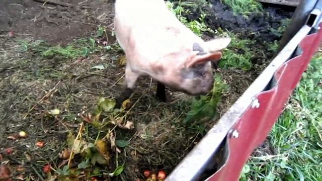 Мода осень 2019 смотреть онлайн