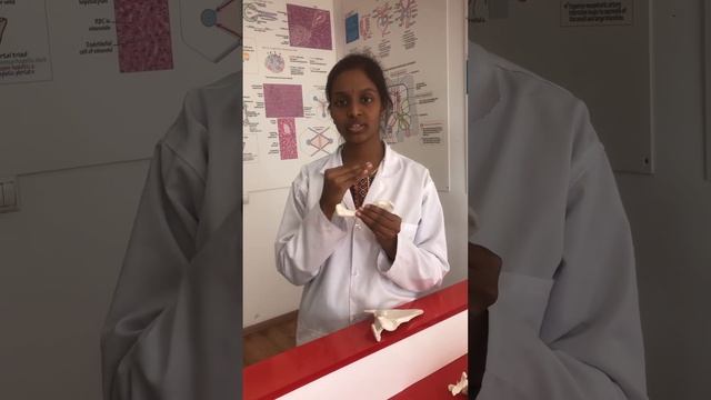 9 октября 2023 г. смотреть онлайн