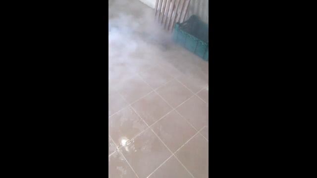 Очистка и дезинфекция рыбной коптильни и фабрики смотреть онлайн