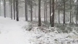 Вот зима, кругом бело! Много снега намело!