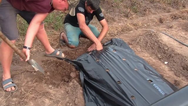 #beds#strawberry#agro Делаем теплие грядки под посадку клубники. Сериал грядки продолжается... смотреть онлайн