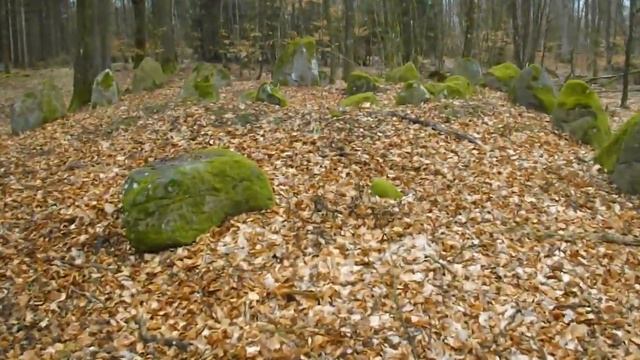 Langdysse 2 i Grønholt Hegn смотреть онлайн