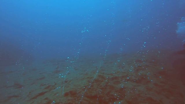 Duiken bij Palma las Vista Tenerife met Aqua Marina смотреть онлайн