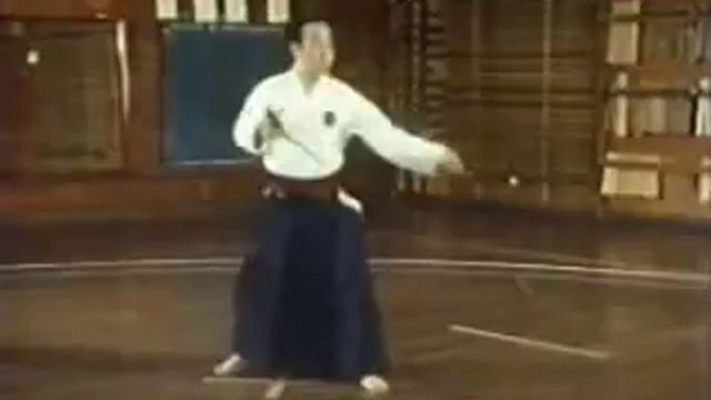 Ryukyu Kobudo    Surujin