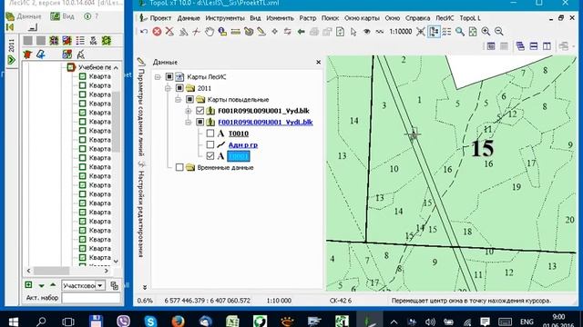 ГИС TopoL-L. Создание текстовых меток выделов для оформления, отличного от стандартного.