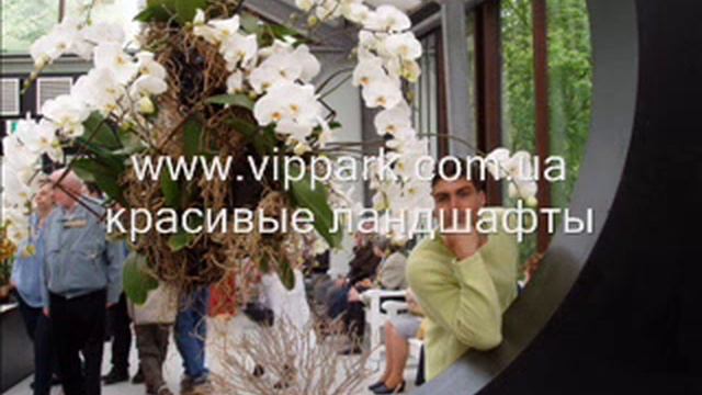 Ландшафтный парк Кайкенкофф смотреть онлайн