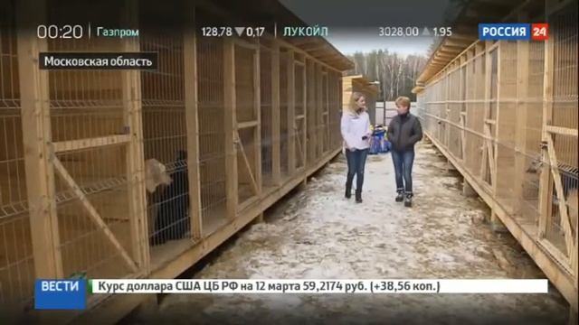 Территории добра нужна Ваша помощь смотреть онлайн