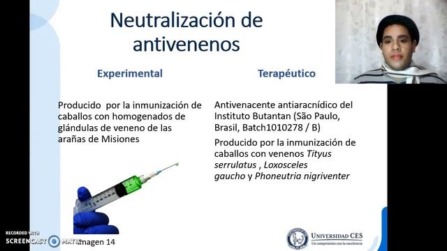 Phoneutria nigriventer/ Comunicación científica смотреть онлайн