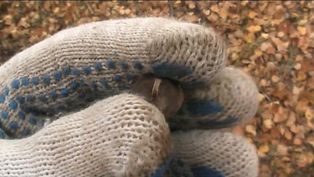 Нашел лисью нору! Выезд в золотую осень! смотреть онлайн