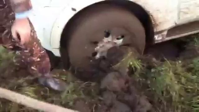 Охота на холодильнике 2 смотреть онлайн