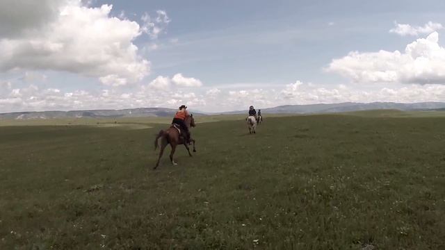 Самый быстрый галоп 2016 смотреть онлайн