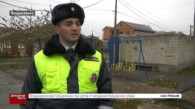Полицейский спас мальчика от собаки. Владикавказ. смотреть онлайн