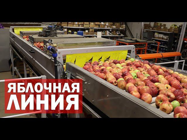 Яблочная линия (видео) смотреть онлайн