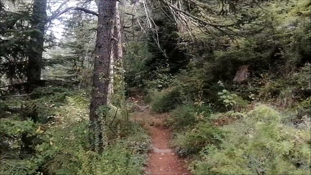 Как ощутить и увидеть ауру? Эффект Кирлиана снимает ауру? - Алла Бережная смотреть онлайн