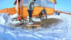 Ловушка на лису (живоловушка) или работа над ошибками