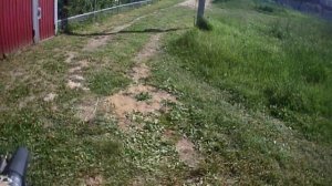 ПОКАТУШКА НА ПРУД С СОБАКОЙ НА МОТОЦИКЛЕ