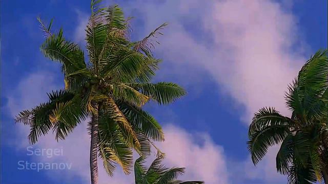 80's Melodies on the Synthesizer (part 1) смотреть онлайн