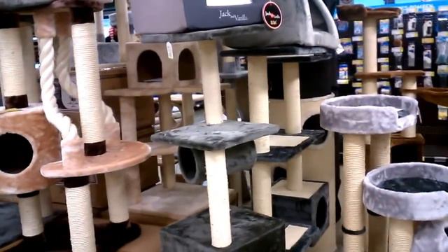 Магазин для животных Брюгге Tom & Co Brugge Belgium