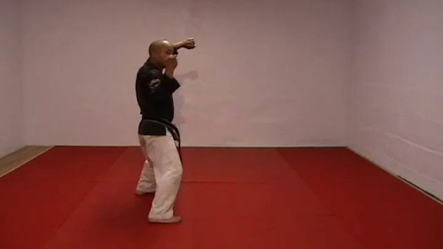 CASA DE KENPO - AMERICAN KENPO - SHORT FORM 2 смотреть онлайн