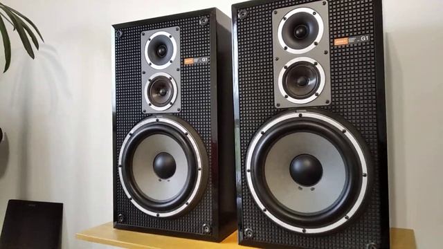 #hifiaudio  Sony Carbocon Speaker System SS G-1 (Demo)