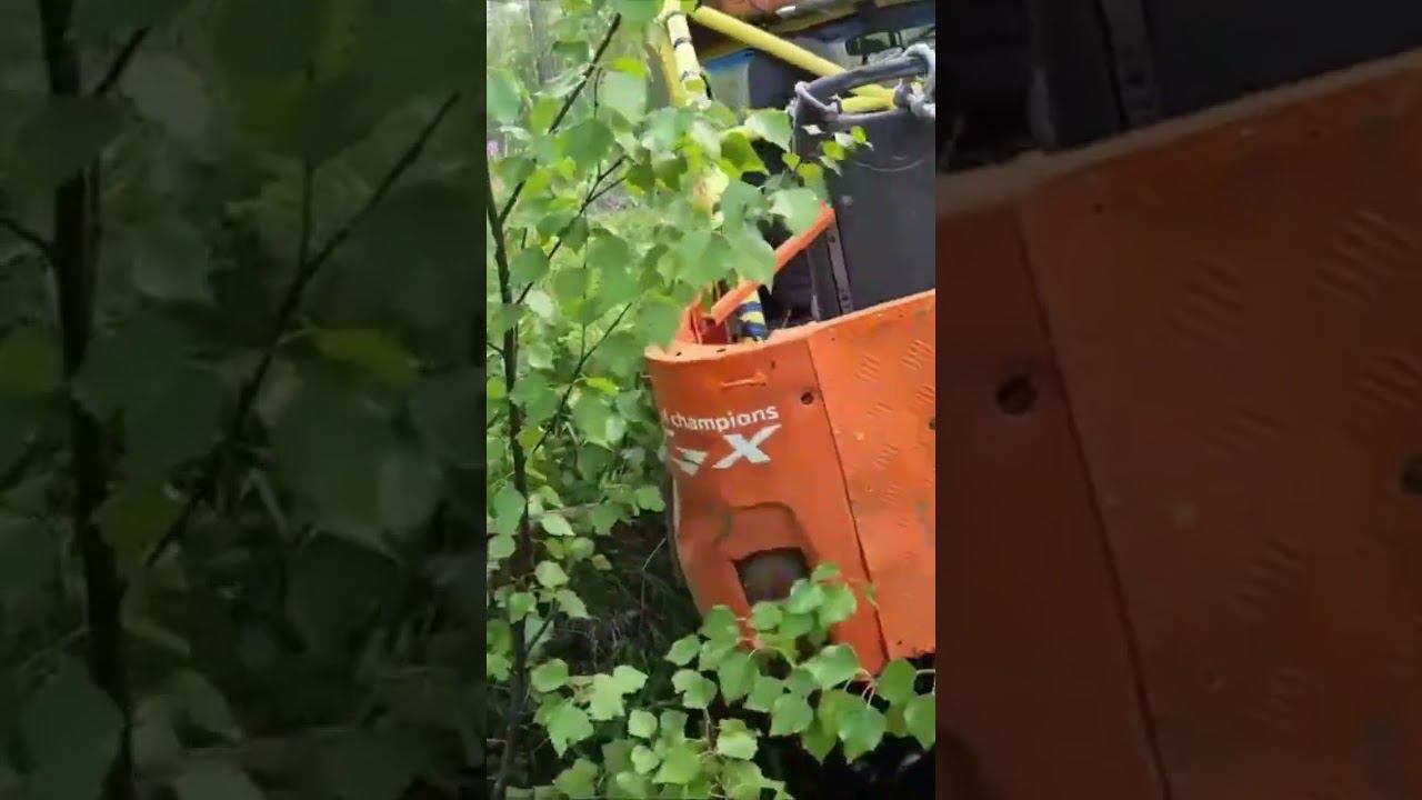 150 и всё! #4x4 #offroad #shorts #НаДжипе #offroad4x4 #алтай4х4 смотреть онлайн