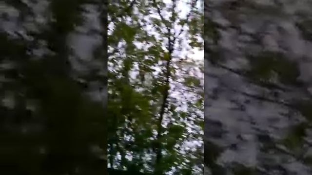 На даче друга поёт соловей.... может лето все же на поет!? смотреть онлайн