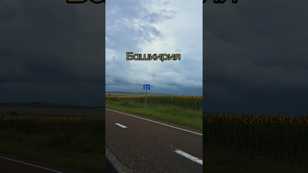 Родные края #bashkortostan #башкирия #деревня #лето смотреть онлайн