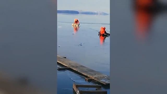 От этого видео замирает сердце. Спасение диких животных из ледяной ловушки. смотреть онлайн