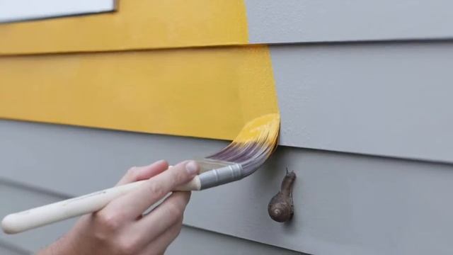 Фасадная краска Regal Revive Benjamin Moore смотреть онлайн