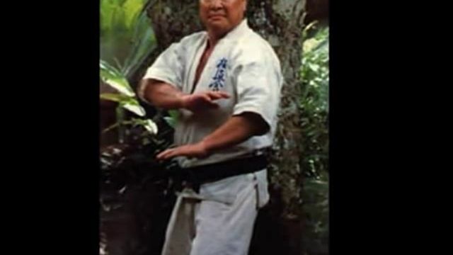 tribute to mas oyama смотреть онлайн