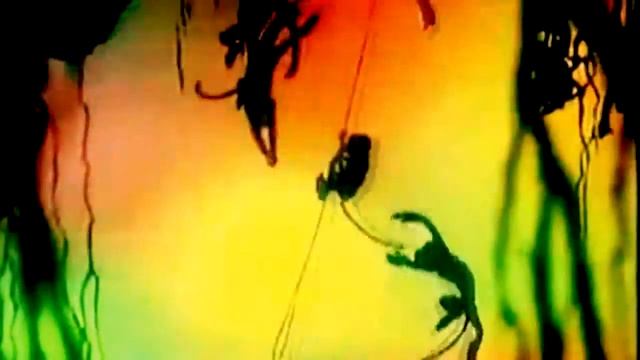 Зоопарк АКИ смотреть онлайн