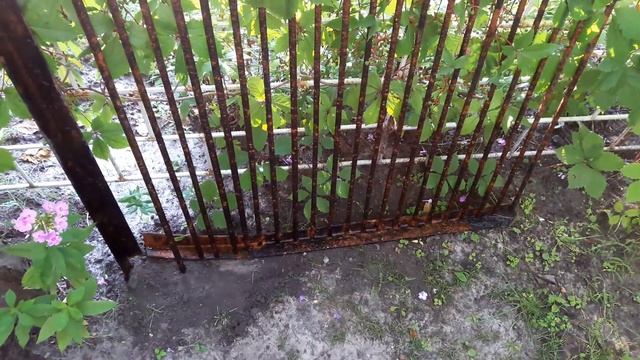 Поиск металлолома в воде. Есть улов! смотреть онлайн