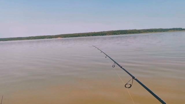 На Что Ловить Огромных Окуней Летом На Водохранилище. Окуни Монстры не дают скучать ??? Ловля Окуня смотреть онлайн