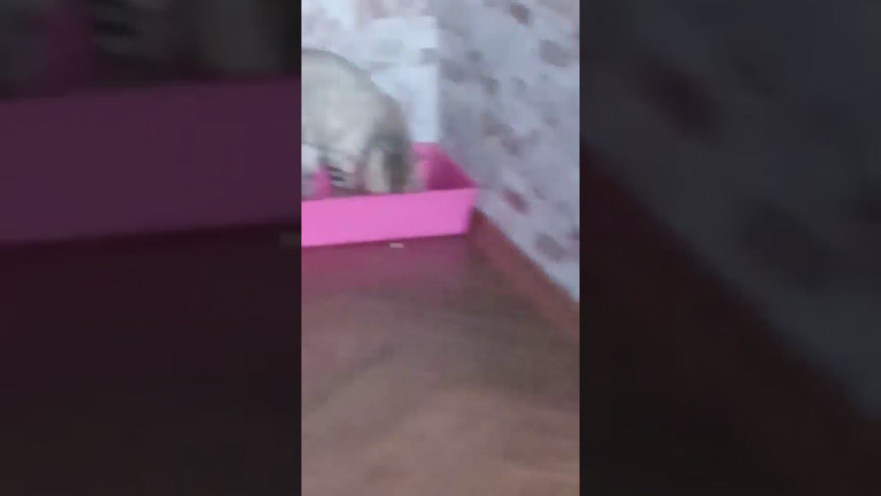 5 марта 2020 г. смотреть онлайн