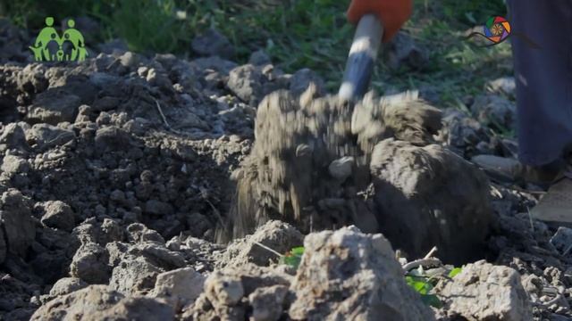 Грядка Хольцера (полная версия) / Sepp Holzer's Permaculture